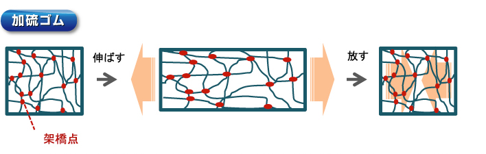 加硫ゴム